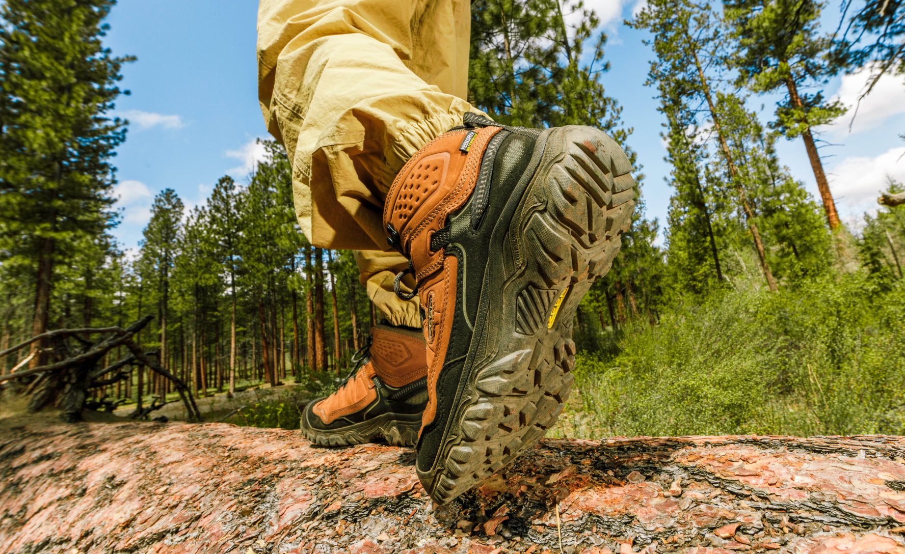 Men's Targhee IV Waterproof Hiking Boot Bison/Black - Image 7