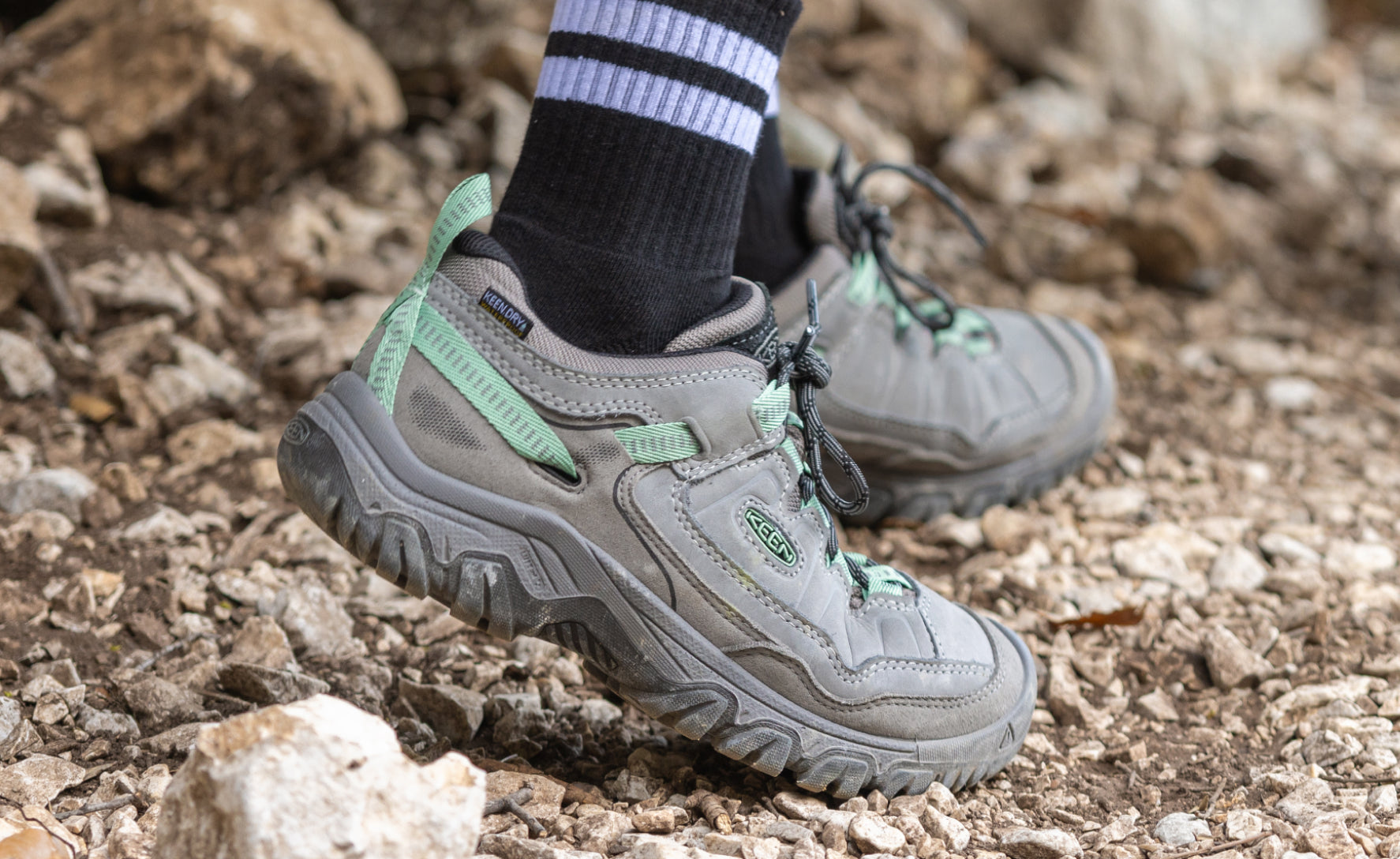 Women's Targhee IV Waterproof Hiking Shoe Abbey Stone/Lily Pad - Image 7